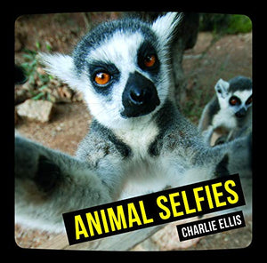 Animal Selfies 