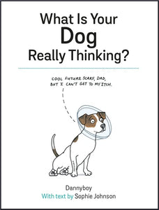 What Is Your Dog Really Thinking? 