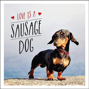 Love is a Sausage Dog 