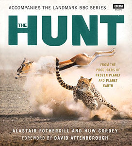 The Hunt 