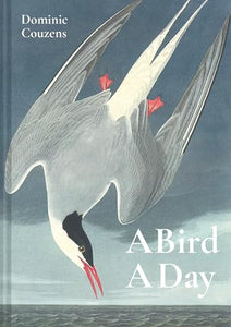 A Bird A Day 