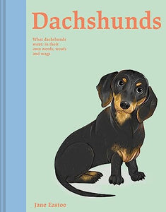 Dachshunds 