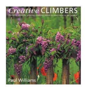 Creative Climbers 