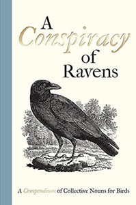 A Conspiracy of Ravens 