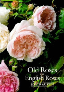 Old Roses and English Roses 