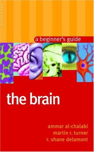 The Brain 