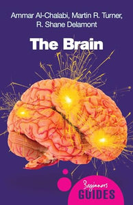 The Brain 