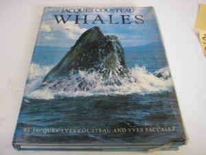 Whales 