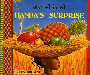 Handa's Surprise in Panjabi and English 