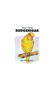 Your First Budgerigar 