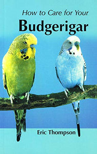 How to Care for Your Budgerigar 