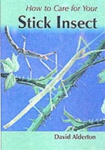 How to Care for Your Stick Insect 