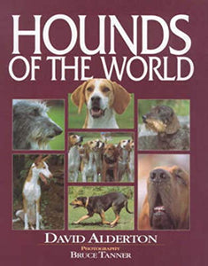 Hounds of the World 