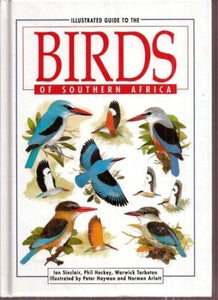 Illustrated Guide to the Birds of Southern Africa 