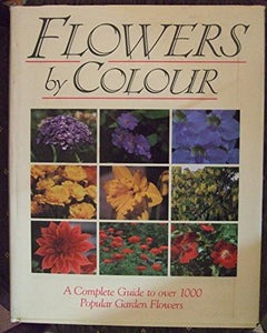 Flowers by Colour 