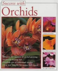 Orchids 