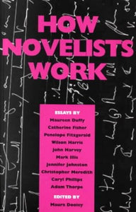 How Novelists Work 