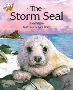 The Storm Seal 