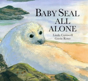 Baby Seal All Alone 