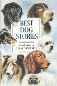 Best Dog Stories 