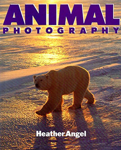 Animal Photography 