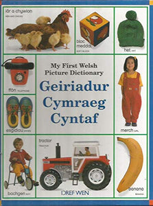 Geiriadur Cymraeg Cyntaf 