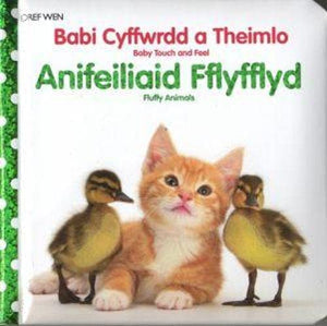 Babi Cyffwrdd a Theimlo: Anifeiliaid Fflyfflyd 