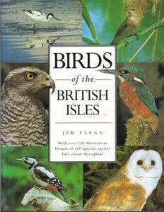 Birds of the British Isles 