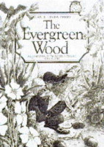 The Evergreen Wood 