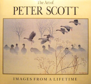 The Art of Peter Scott 