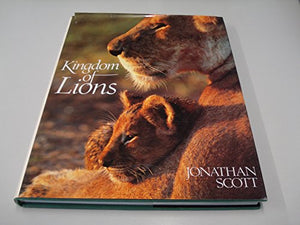 Kingdom of Lions 