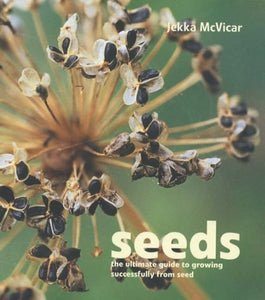 Seeds 