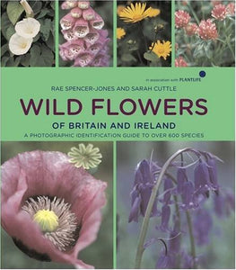 Wild Flowers of Britain and Ireland 