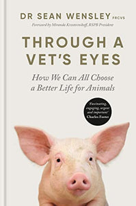 Through A Vet’s Eyes 