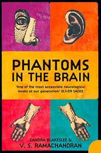 Phantoms in the Brain 