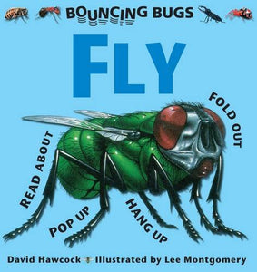 Bouncing Bugs - Fly 