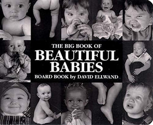 Big Book of Beautiful Babies 