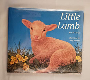 Little Lamb 