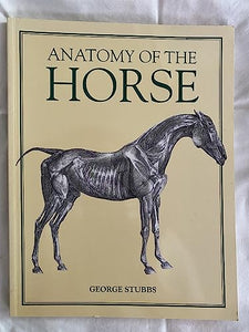 Anatomy of the Horse 