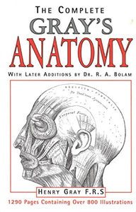 Anatomy 