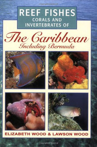 Photographic Guide to Reef Fishes, Corals and Invertebrates of the Caribbean Including Bermuda 