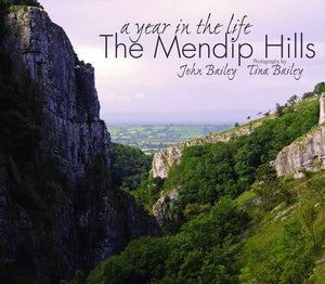 The Mendip Hills 