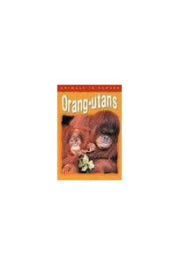 Animals In Danger: Orang-utans 