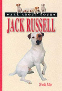 All About Your Jack Russell 