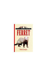 All About Your Ferret 