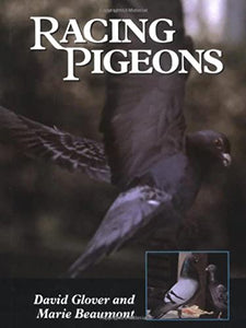 Racing Pigeons 