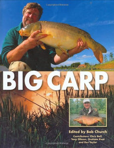 Big Carp 