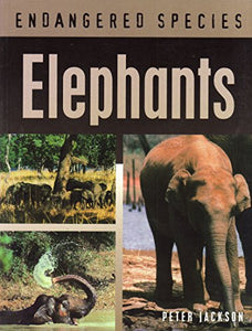 Elephants 