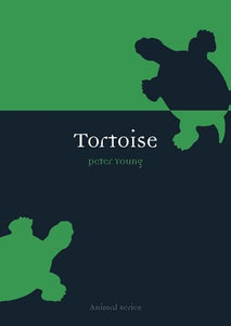 Tortoise 