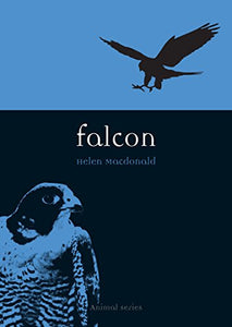 Falcon 